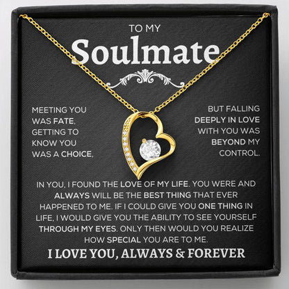 To My Soulmate | Meeting You Was Fate | Forever Love Necklace - Elliotrose Gifts